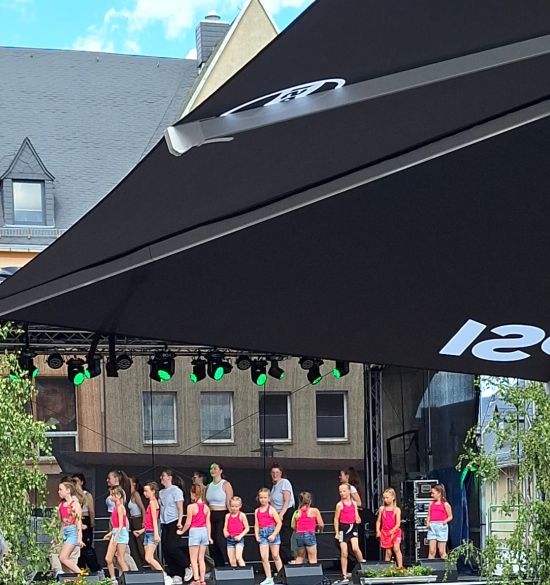 Auftritt Altstadtfest