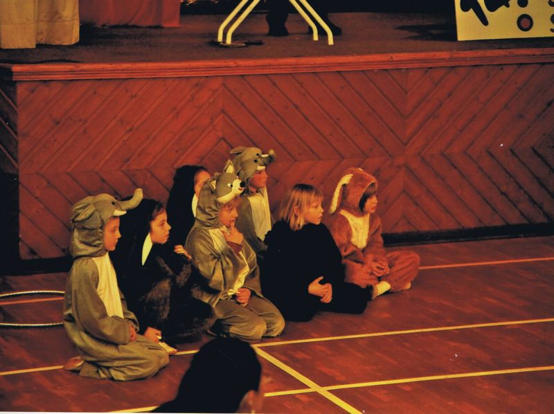 Kinder- und Jugendtanzschau